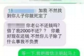桐柏桐柏专业催债公司，专业催收